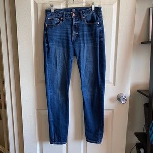 Gap - Curvy True Skinny Jeans 6/28